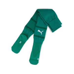 705746-05-football-socks-puma-teamfinal-green
