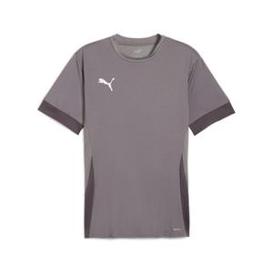 705747-13-jersey-puma-teamgoal-matchday-gray