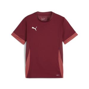705748-09-kids-training-jersey-puma-teamgoal-red