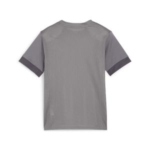 product/p/u/puma_705748-13_gray_2.jpg