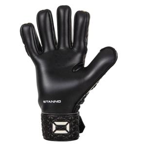 product/s/t/stanno_481373-8620_2.jpg